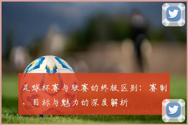 足球杯赛与联赛的终极区别:赛制、目标与魅力的深度解析
