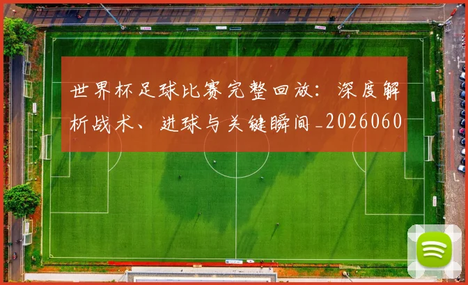 世界杯足球比赛完整回放：深度解析战术、进球与关键瞬间_20260609201334