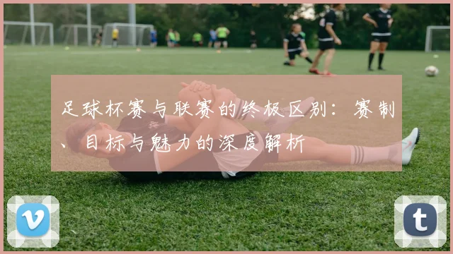 足球杯赛与联赛的终极区别：赛制、目标与魅力的深度解析